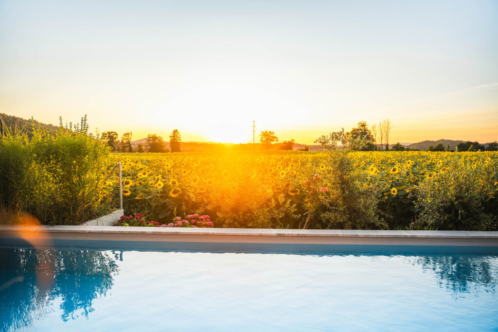 Tourismus Unterkunft Hotel Pool Fotografie